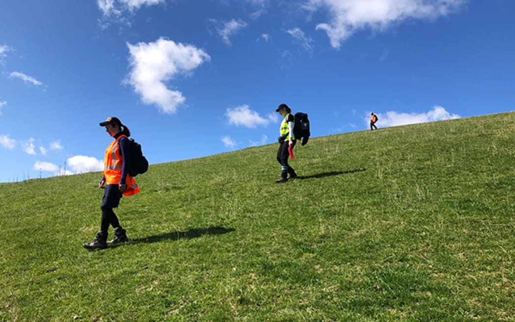 Three people wearing high-vis vests and backpacks walks in a row down a grassy slope.