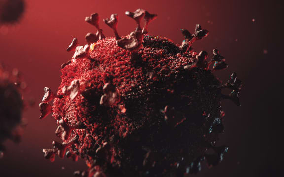 3D model design of the novel coronavirus virion