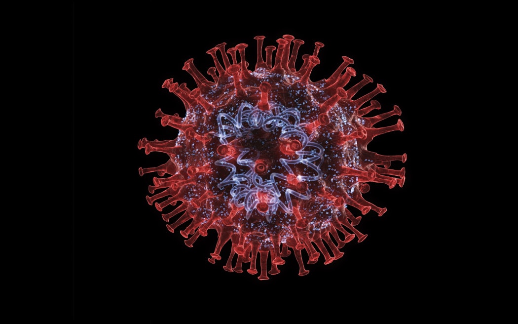 Coronavirus structure. Computer illustration showing a coronavirus with the RNA (ribonucleic acid) inside and proteins on the surface.