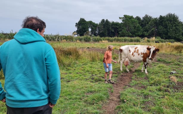 On-farm training initiative a hit among young adults with high ...