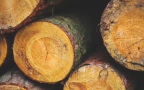 Logs