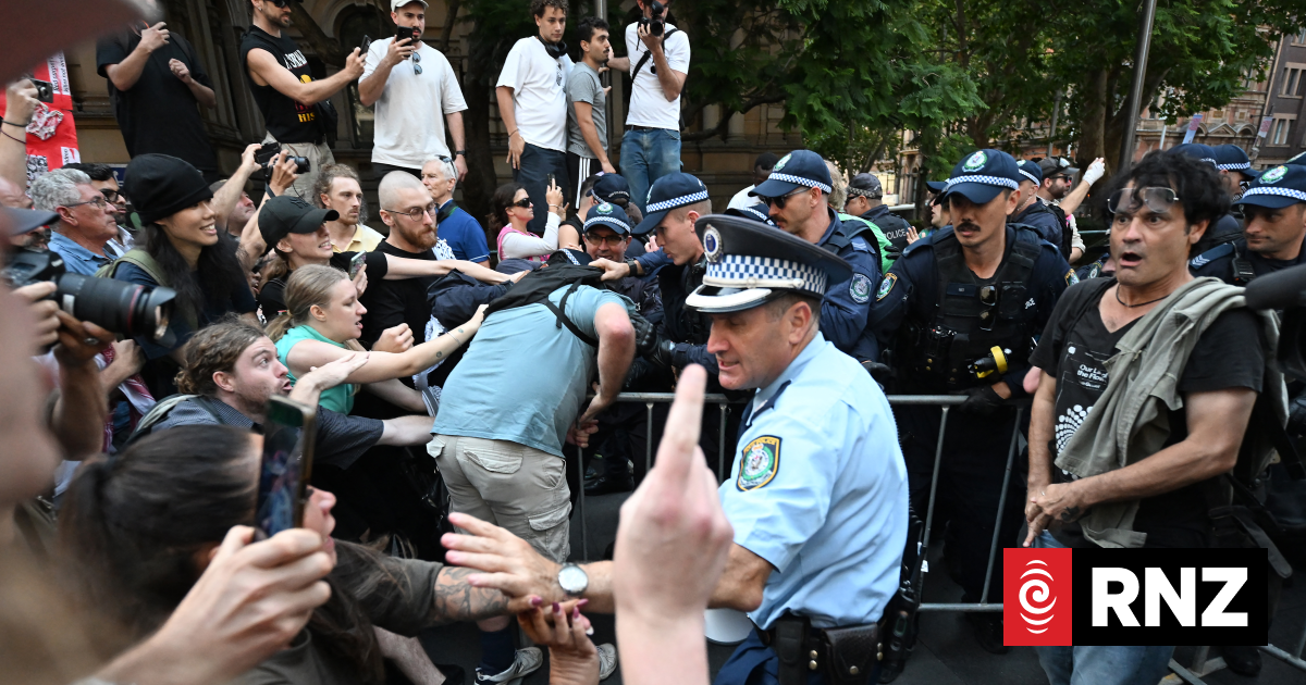 Law Society worried Policing Amendment Bill could lead to clampdown on political protest