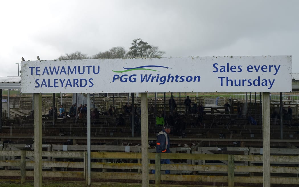 Te Awamutu Saleyards