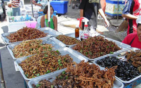 Insect food stall