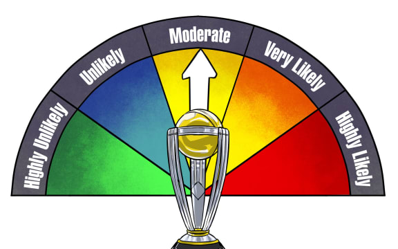 Year of the Cups Cricket World Cup thumbnail