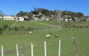 Mount Albert Grammar School Farm