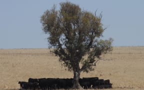 Climate scientists say Australian has endured an ''angry summer''.