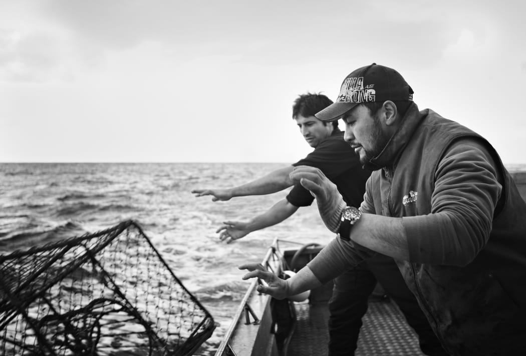 Chatham Island Food Co in action.