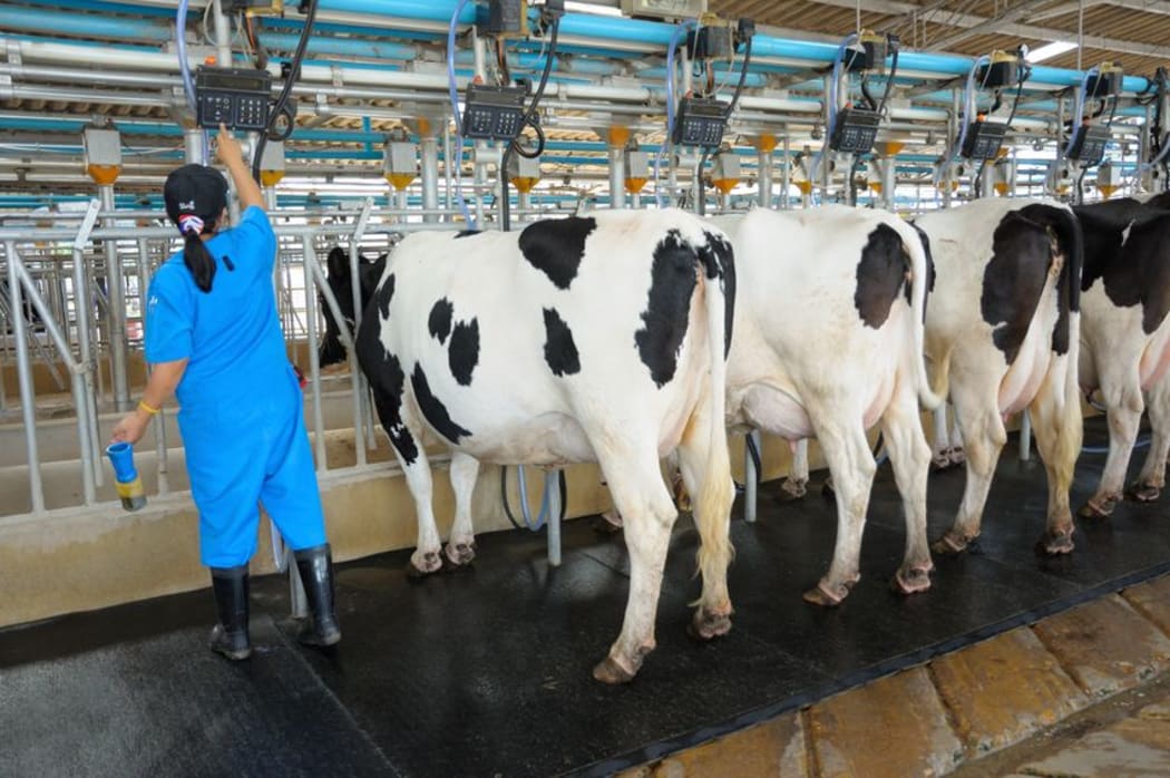 The Government was not taking agriculture into account where casual employment was necessary, said Calvin Fisher.