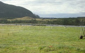 One of the Crafar farms that was up for sale in 2010.