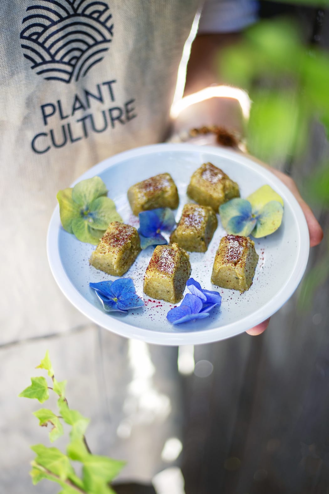 Hemp Seed Fudge