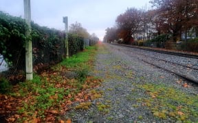 Ashburton District Councillor Carolyn Cameron asked KiwiRail to tidy up its act along the rail corridor,  and said it makes the town look "scruffy".