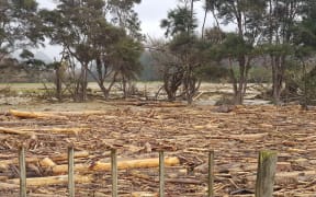 Slash debris after flooding in Tolaga Bay.