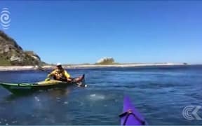 Ocean bubbles seen in Kaikoura: RNZ Checkpoint