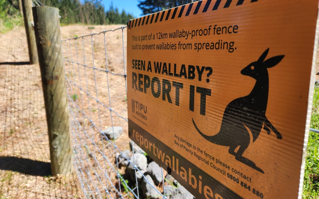 A sign urging people to report wallaby sightings on the 12.5km wallaby control fence alongside SH5