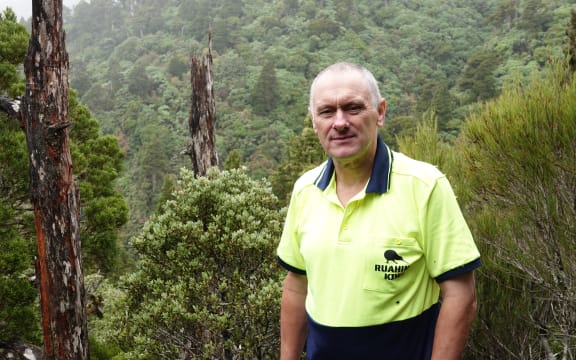 Ian Rasmussen says kiwi could be released now, but they wouldn't have success breeding.