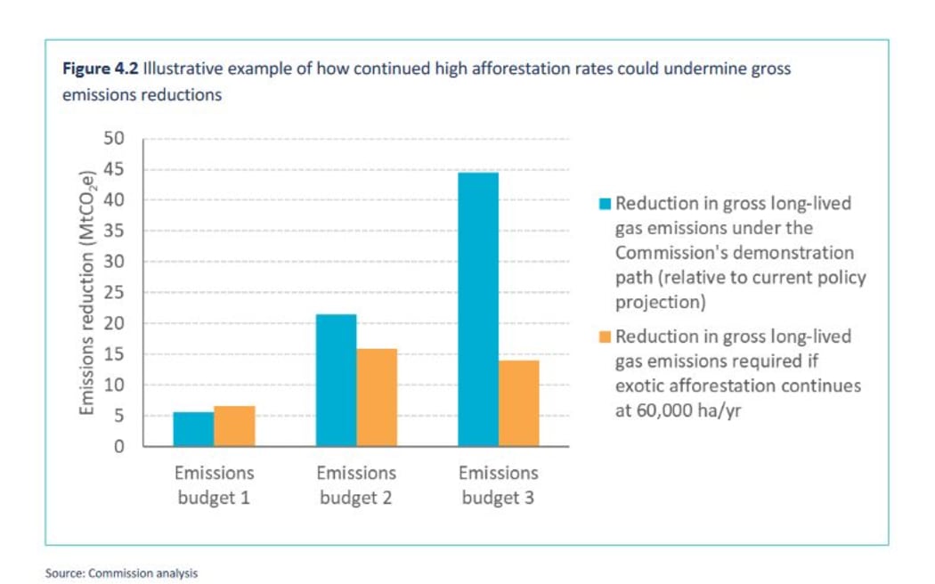 A graph showing how continued high afforestation rates could undermine gross emissions reductions.