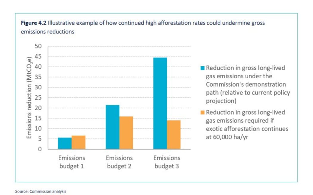 What's wrong with the Emissions Trading Scheme? | RNZ News