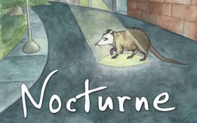 Nocturne logo (Supplied)