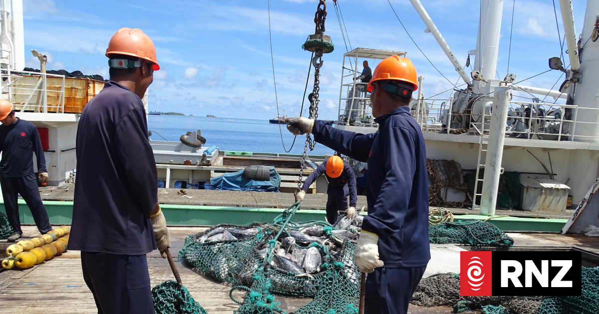Fish management funding from EU and Sweden to help net thieves | RNZ