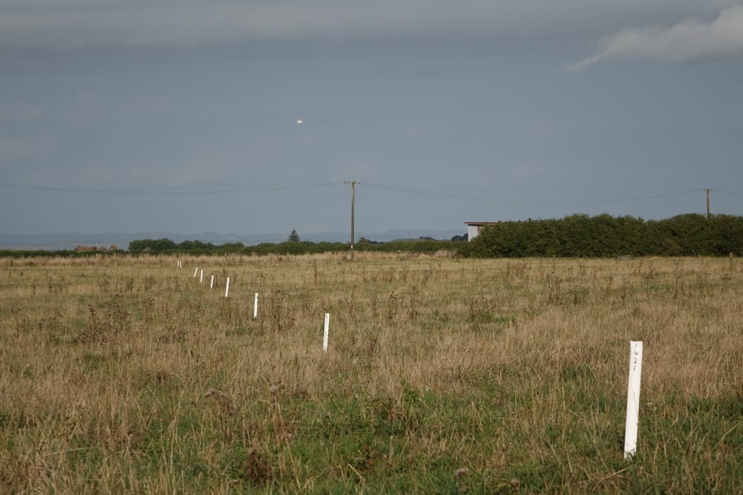White markers show where listening devices have been set at service level to record the blasts from seismic surveying explosions.