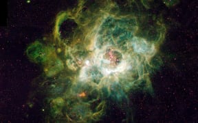 Nursery of new stars