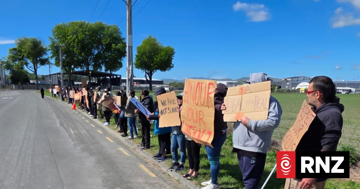 Hawke's Bay Watties factory staff go on strike: 'We're like the poor cousins who gets paid a little bit less'
