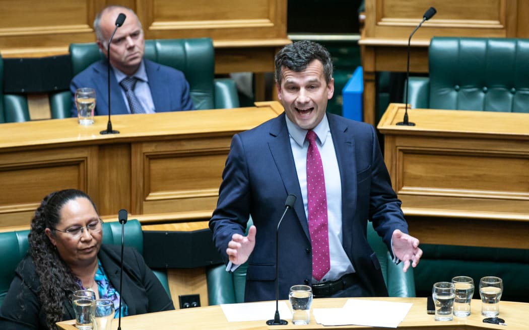 David Seymour makes a speech during the first reading of the Treaty Principles Bill on 14 November.