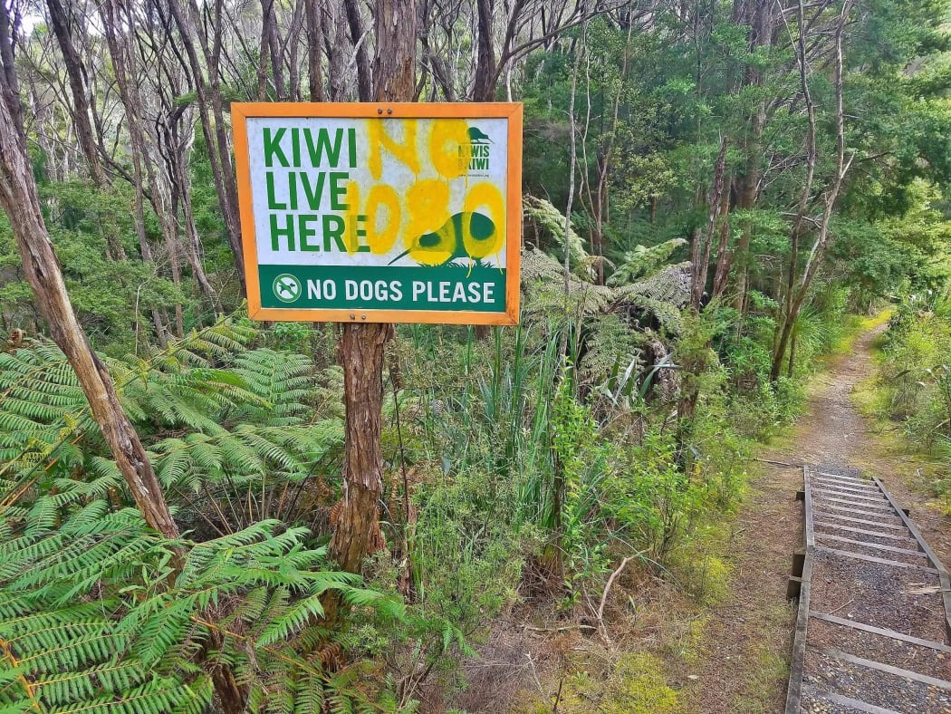Signage vandalised in the forest.