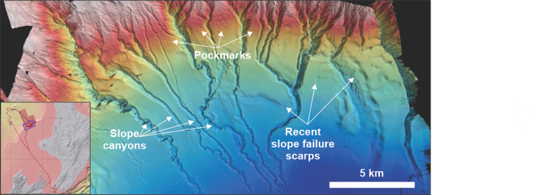 A rainbow false-colour model of the seafloor showing canyons, scarps and pockmarks. The canyons look like branching veins.