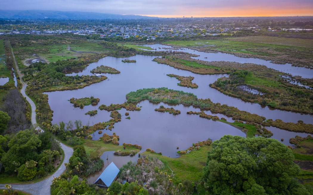 Travis Wetland Circuit Walk, Christchurch.
