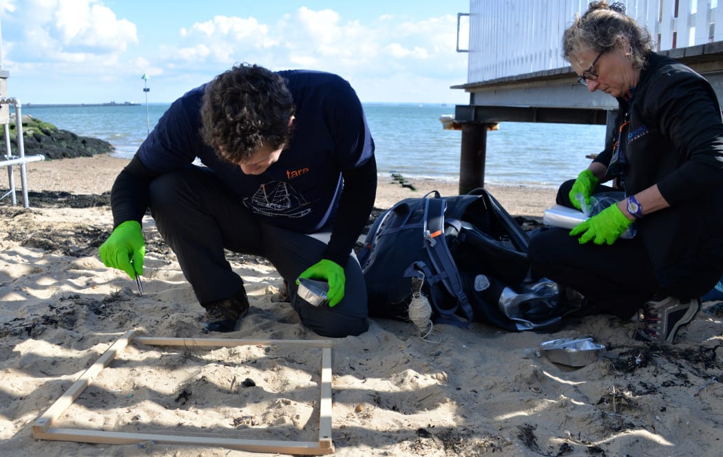 Researchers Valerie Barbe (R) and Boris Eyheraguibel, members of Tara's microplastics expedition, look for plastics in the sand on Southend-at-sea beach near London on June 11, 2019. -