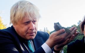boris tuatara