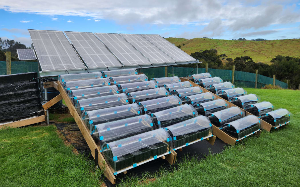 The prototype combined salt and water farm in the Whitford's backyard