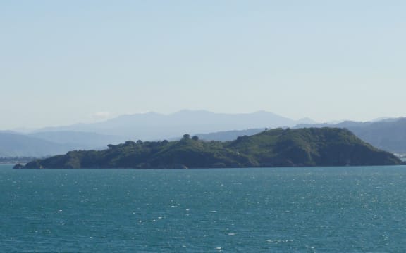Matiu-Somes Island
