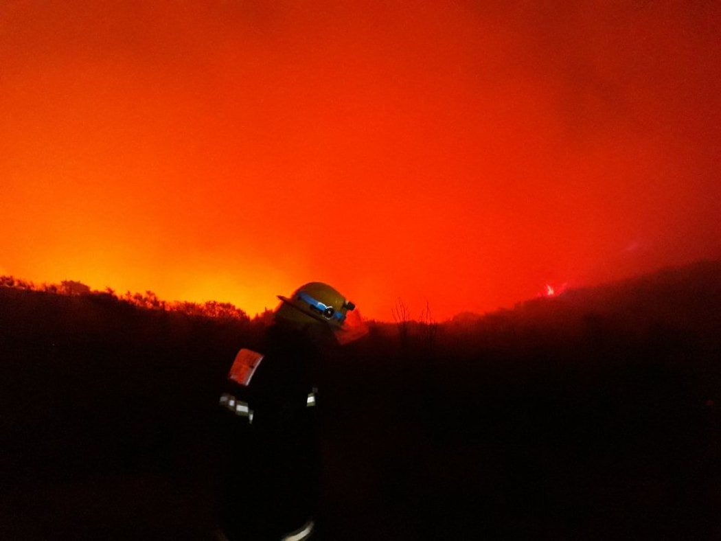 A firefighter tackles the blaze that broke out on the side of Mt Prospect on Friday afternoon.