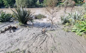 Credit: Supplied. Caption: The slimy sides of the Waimata river are not only unsightly, but point to deeper issues of its general overall health.