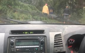 Simon Avery and his friends managed to get out of Pauanui by driving along the forestry roads, and cutting down trees along the way.