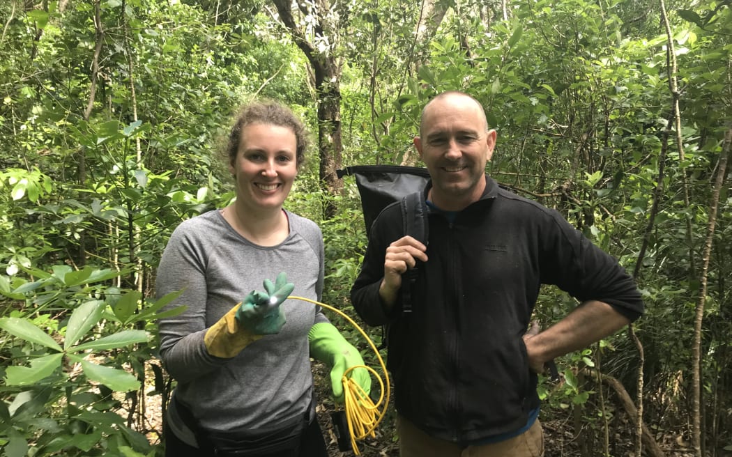 A man and a woman smiling in the forest