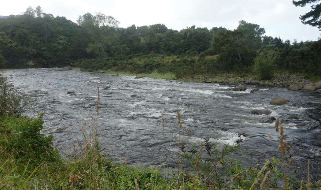 Waiwhakaiho River, as seen on January 23.
