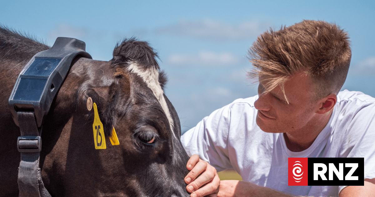 New direct-to-satellite technology launched to help farmers manage cattle from above