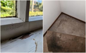 The mould in Sarah Yates' Mt Eden flat.
