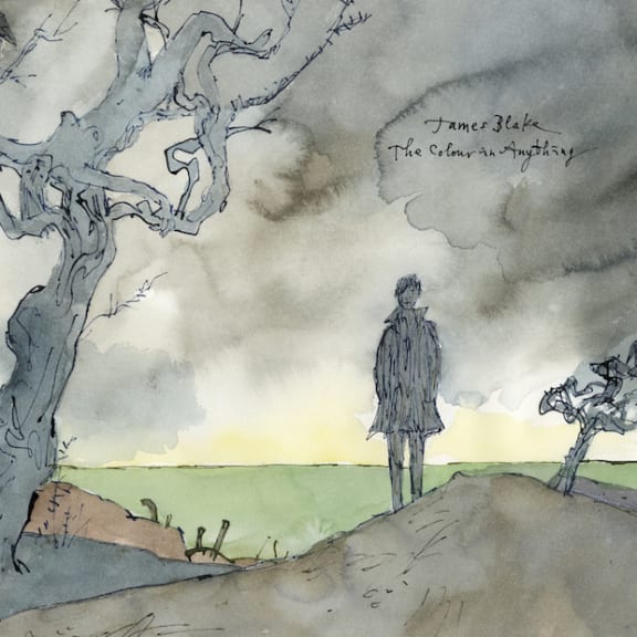 The Colour in Anything cover image