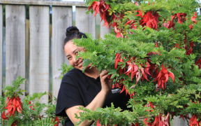 A woman peeks out from behind a leafy bush covered with bright red flowers.