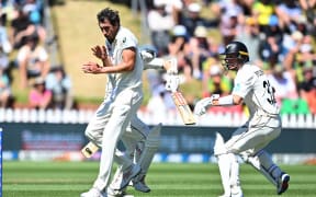 Black Caps batter Kane Williamson and Will Young collide behind Australia’s Mitchell Starc, leading to Williamson's dismissal.