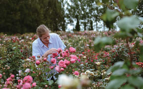 "I think people have become disconnected with how things are produced - it's a similar story across the agricultural sector," Samantha says. "I like to connect people with how things are actually grown. When people buy a rose from a garden centre, they don't think about the years of breeding process, or that it took two years to get the plant to this stage, or even the work to take the photo to put on the label to sell it."