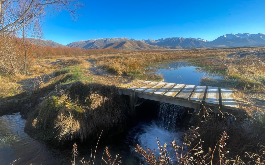 A small wooden boardwalk bridges a stream flowing through a grassy landscape, with a tree with bare branches on the left and snow-capped mountains in the background.