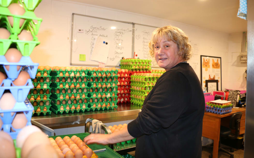 Te Waewae egg farm