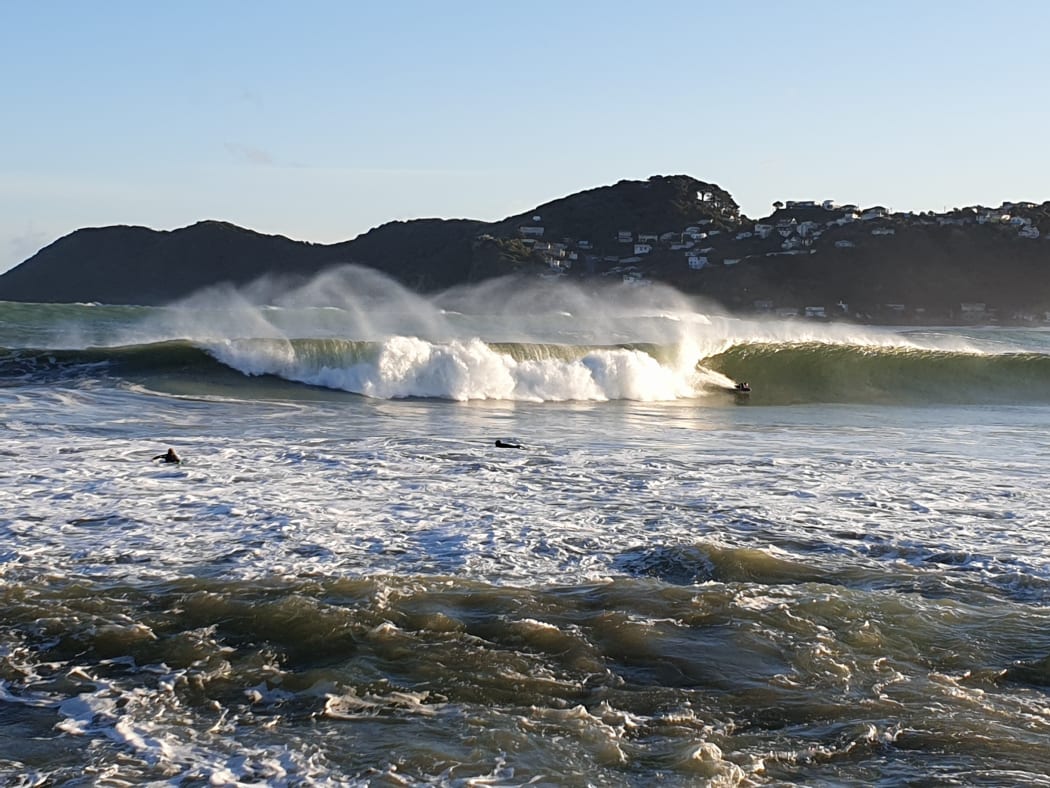 Real surf lyall bay discount