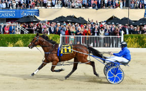 Self Assured and driver Mark Purdon win the 2020 NZ Trotting Cup at Addington Raceway,